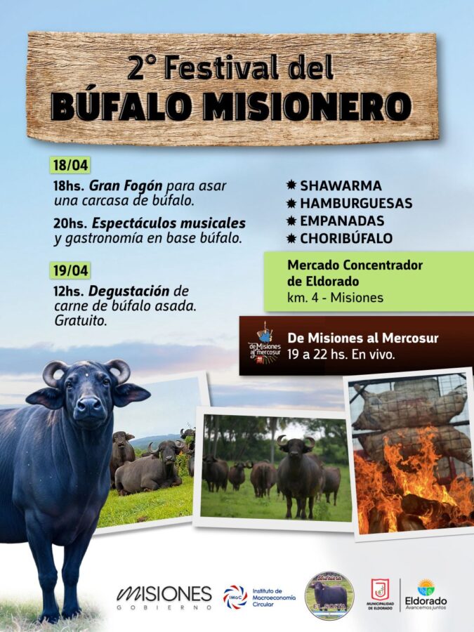 Eldorado ya palpita la segunda edición del Festival del Búfalo Misionero 1 2 - Flyer Bufalo - 1