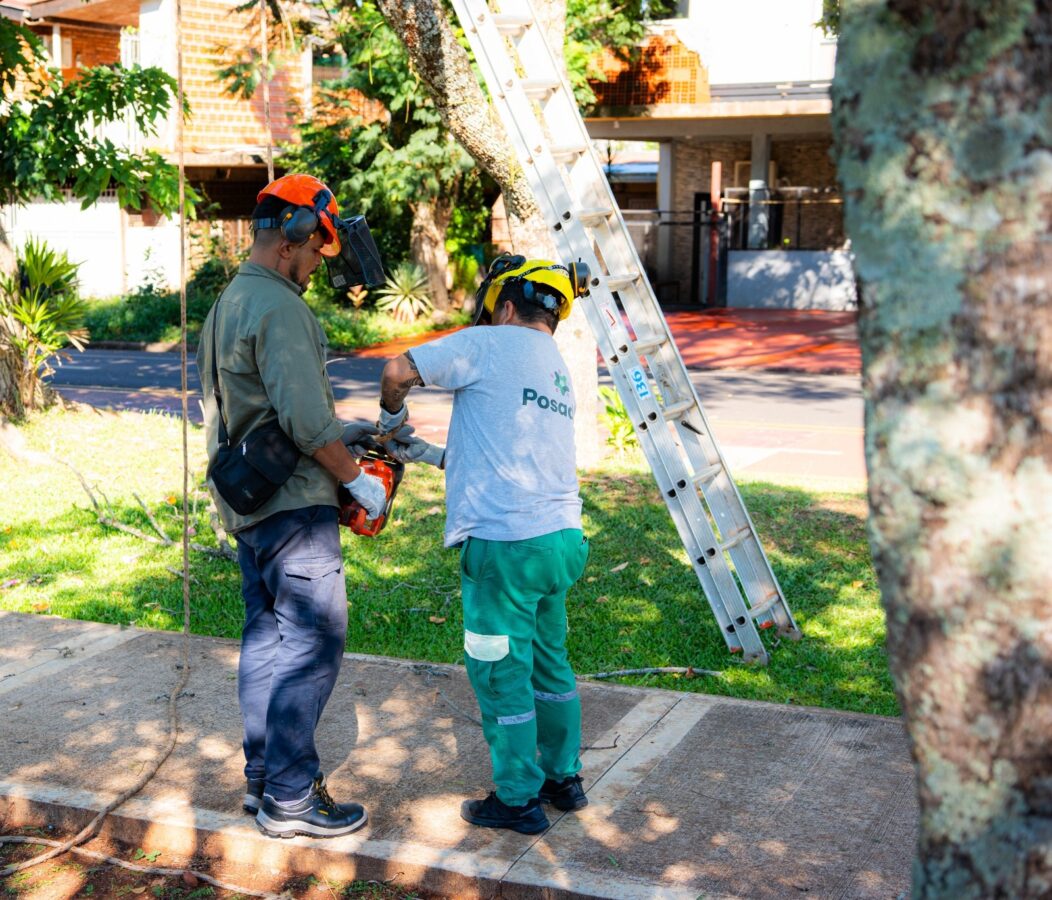 Lanzan recomendaciones y advertencias por el inicio de la temporada de poda en Posadas 1 2 - Lanzan recomendaciones y advertencias por el inicio de la temporada de poda en Posadas 3 - 1