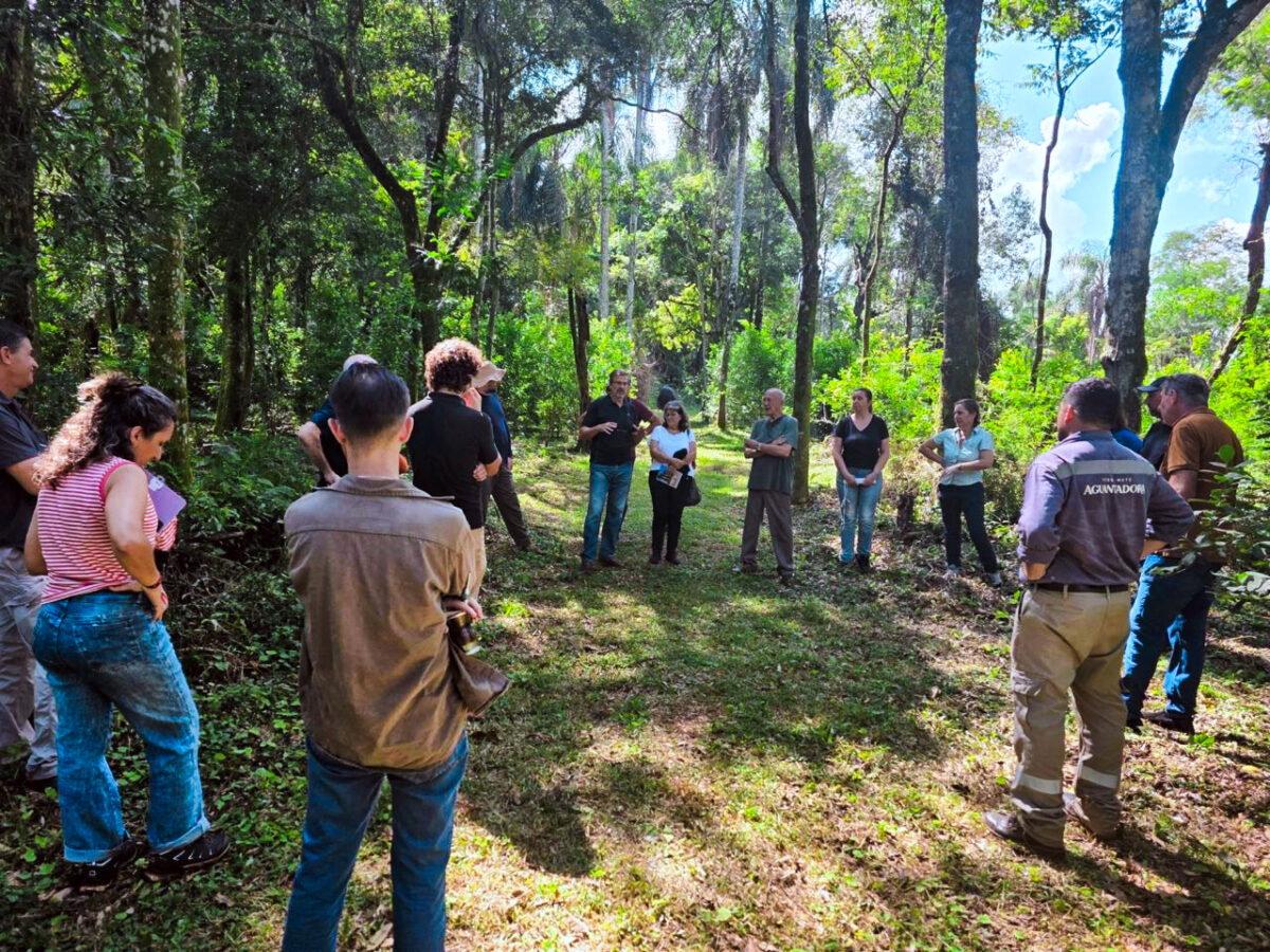 Mesa organica misiones 1 - 1