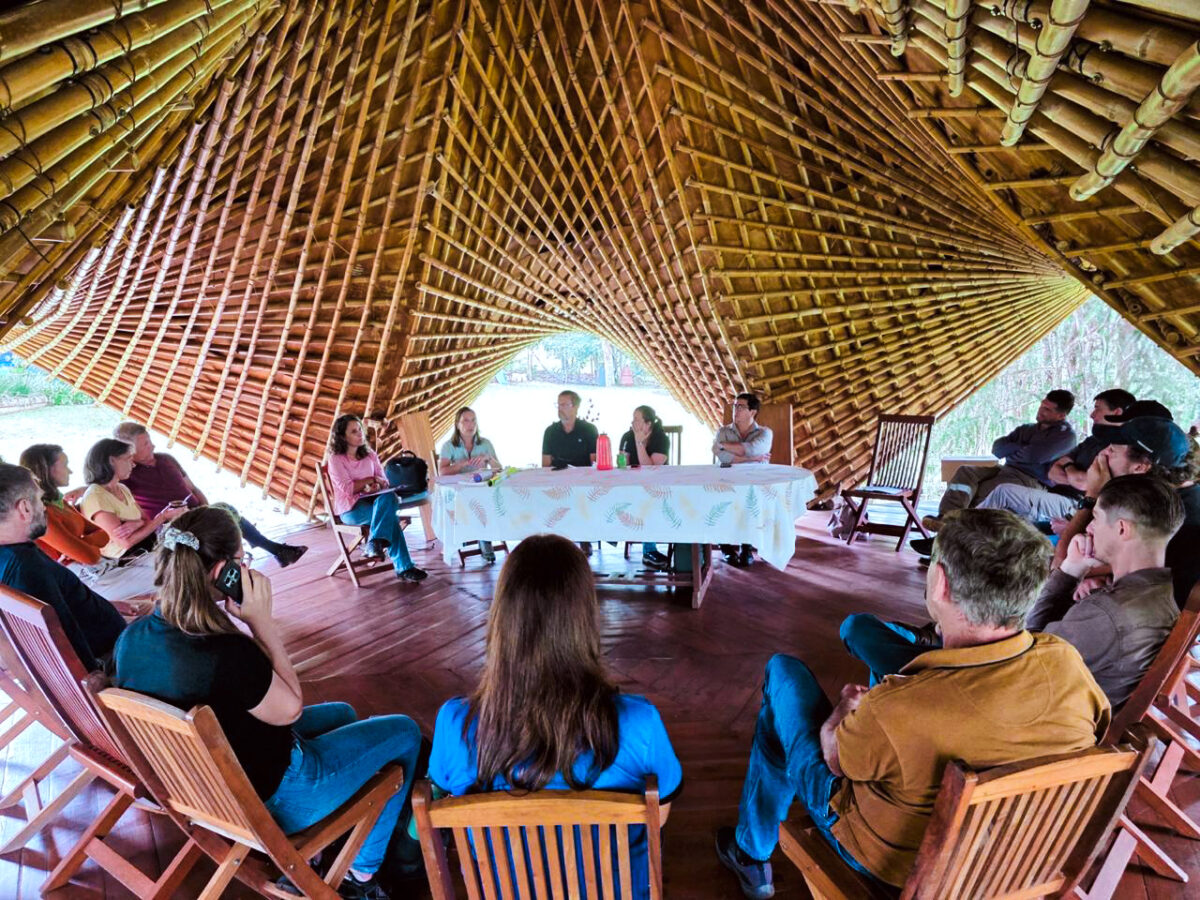 Mesa organica misiones 2 - 3