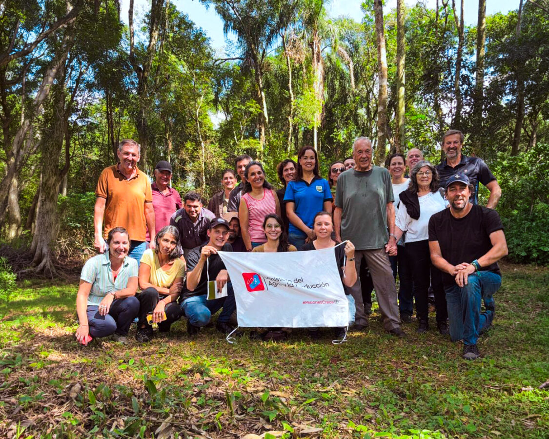 Mesa organica misiones 3 - 5