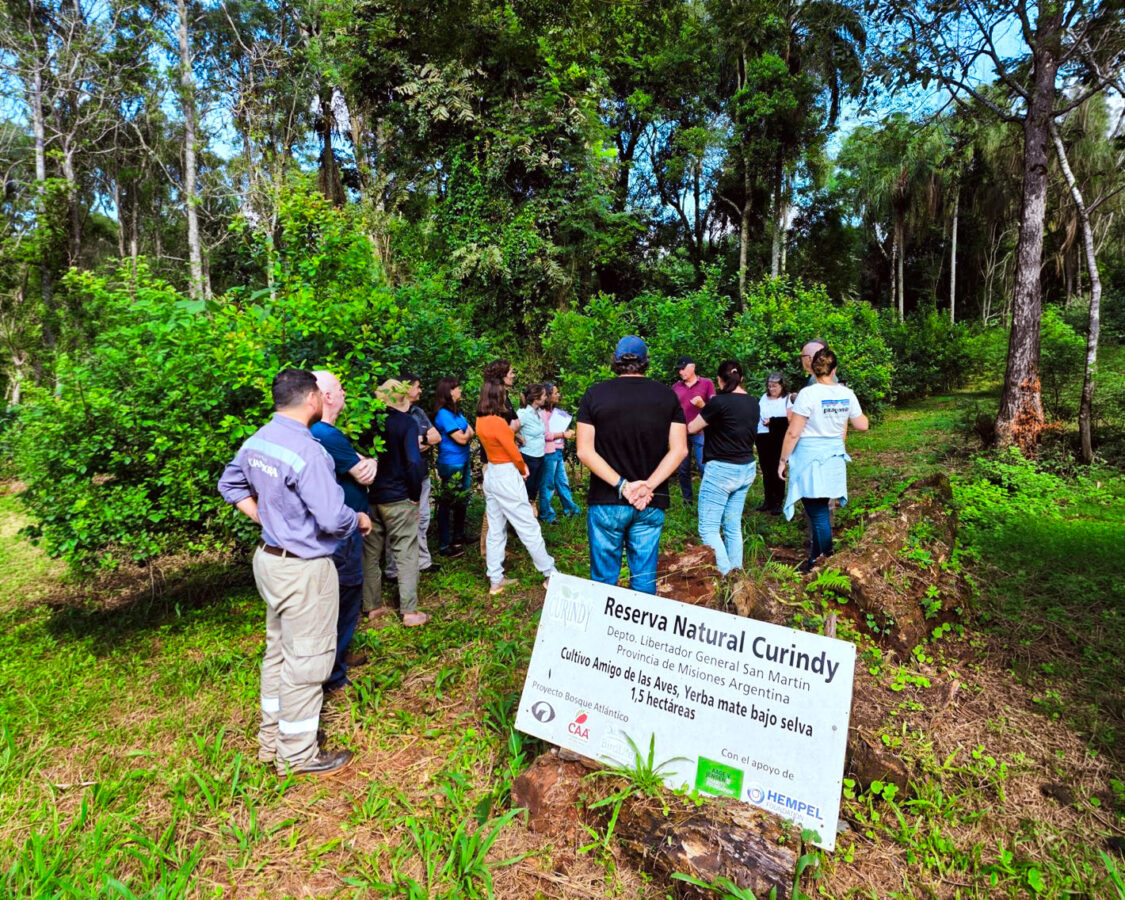 Mesa-organica-misiones-4