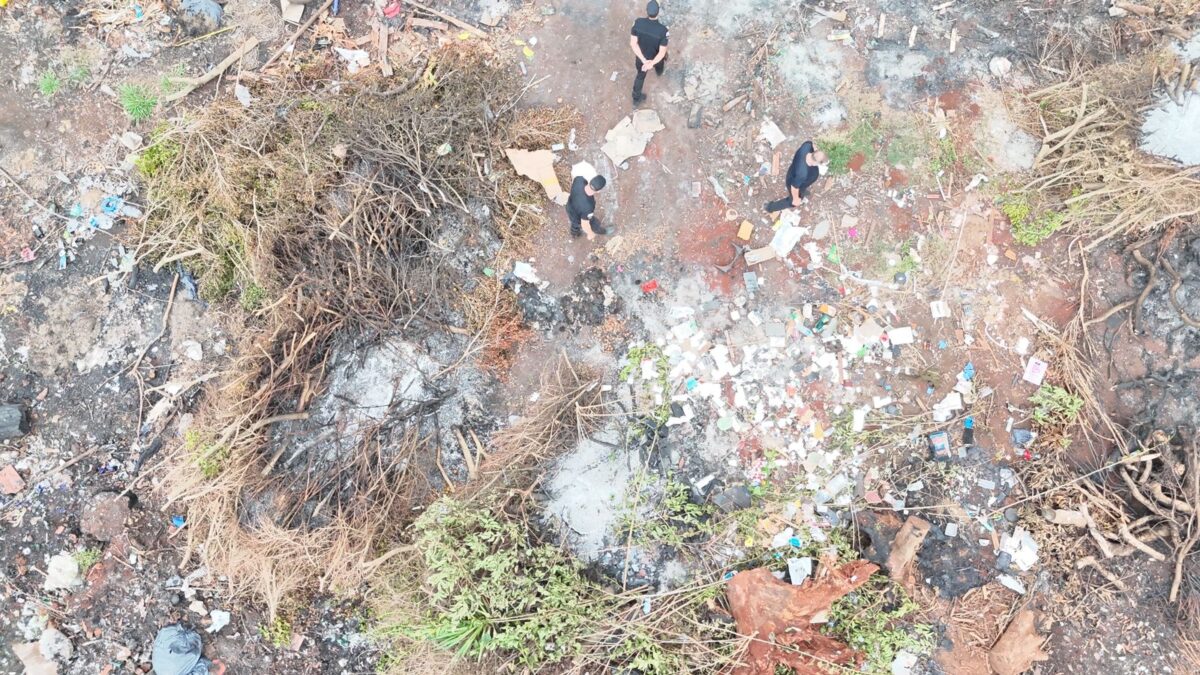 No hallaron indicios de maltrato animal tras rastrillaje policial en dos chacras en Guarani 3 - 5