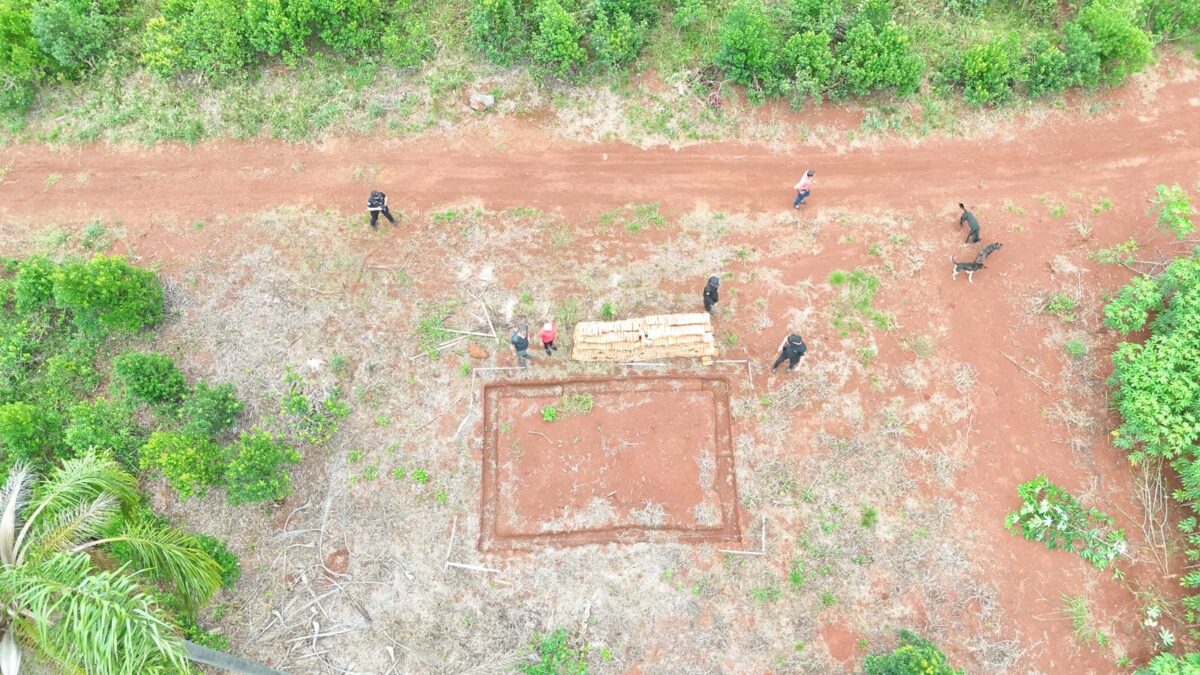 No hallaron indicios de maltrato animal tras rastrillaje policial en dos chacras en Guarani 4 - 1
