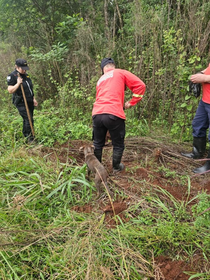 No hallaron indicios de maltrato animal tras rastrillaje policial en dos chacras en Guarani 5 - 7