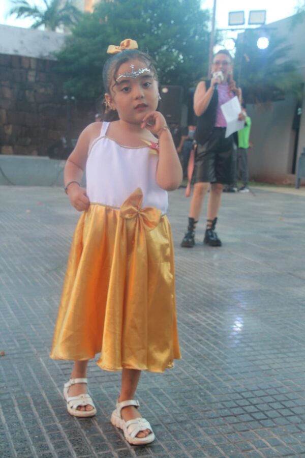 Posadas impulso el talento local con un show que reunio a artistas de toda la provincia 1 - 3