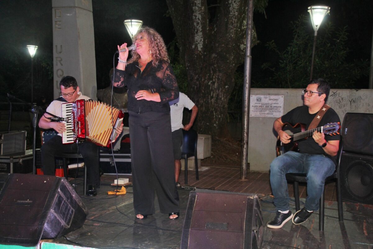 Posadas vivio una noche cultural con el Dia del Musico Misionero 2 - 5