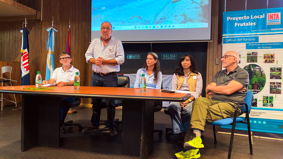 Taller regional de vigilancia fitosanitaria en banano 2 - 1