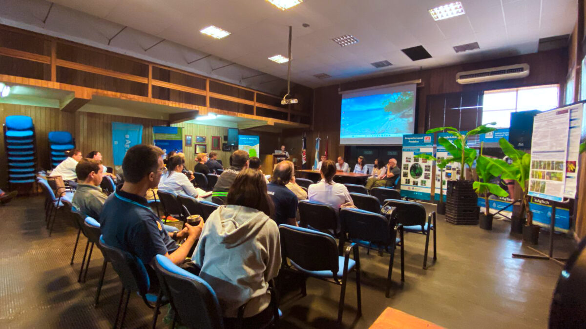 Taller regional de vigilancia fitosanitaria en banano 3 - 3