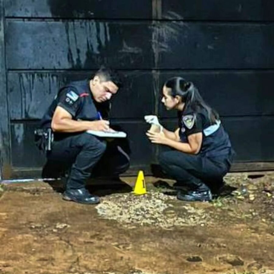 WhatsApp Image 2026 04 13 at 10.01.07 1 - 1