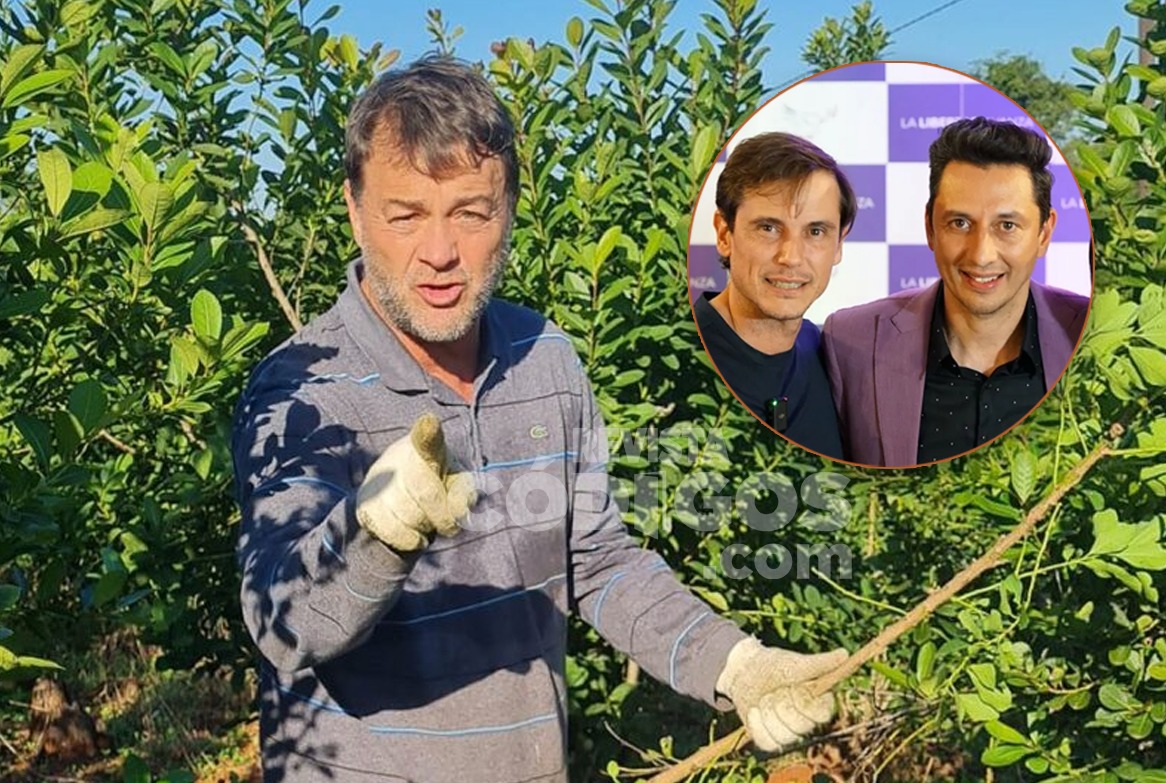 Bárbaro cruzó a los libertarios misioneros por la crisis yerbatera: “Viven en una nube de pedo”