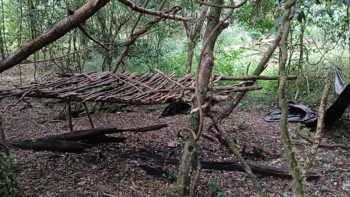 Cazadores furtivos huyeron al ser sorprendidos por guardaparques en el Parque Esmeralda 1 2 - caza furtiva 2 - 1