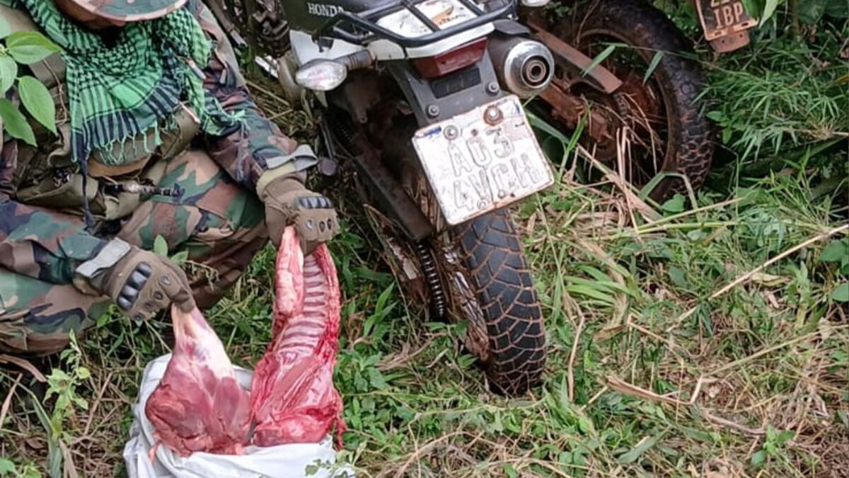 Cazadores furtivos huyeron al ser sorprendidos por guardaparques en el Parque Esmeralda 2 4 - caza furtiva 3 - 3