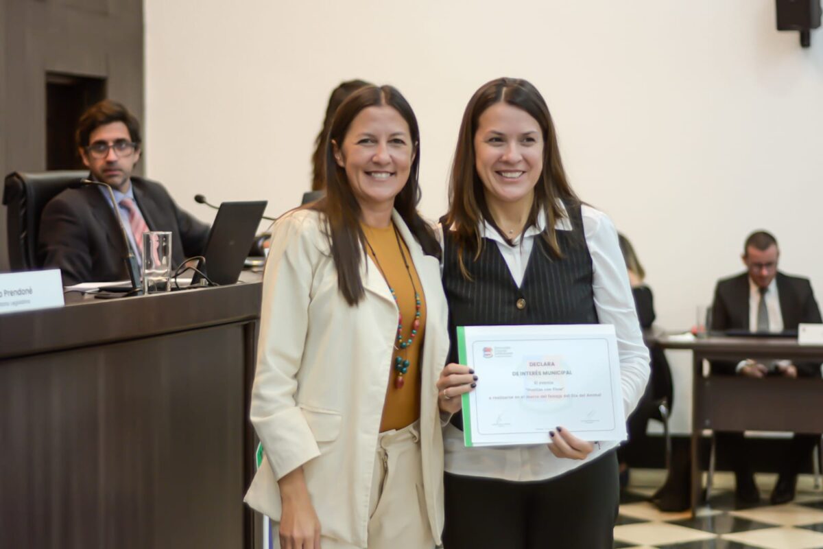 concejo posadas 3 - 5