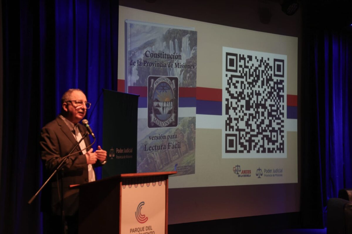Misiones lanzó la Constitución en lectura fácil con acceso mediante código QR 4 8 - constitucion 4 - 7