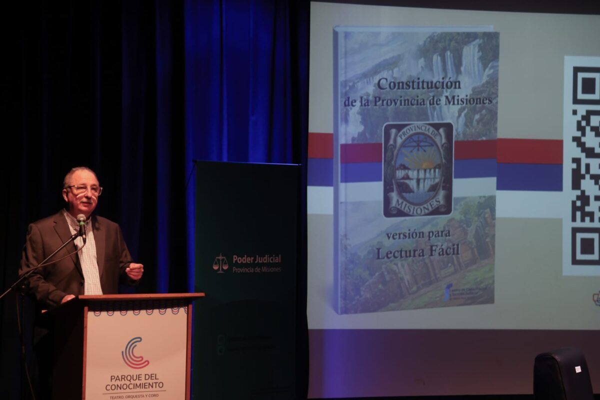 Misiones lanzó la Constitución en lectura fácil con acceso mediante código QR 6 12 - constitucion 6 - 11