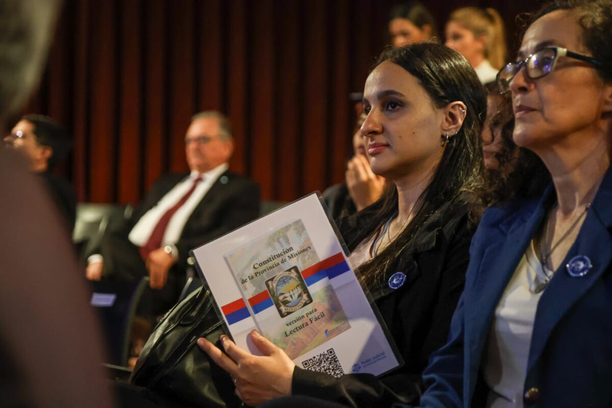 Misiones lanzó la Constitución en lectura fácil con acceso mediante código QR 2 4 - constitucion 7 - 3