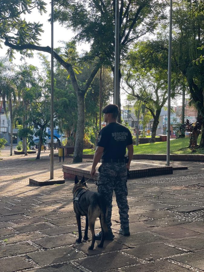 controles en ruta 6 - 11