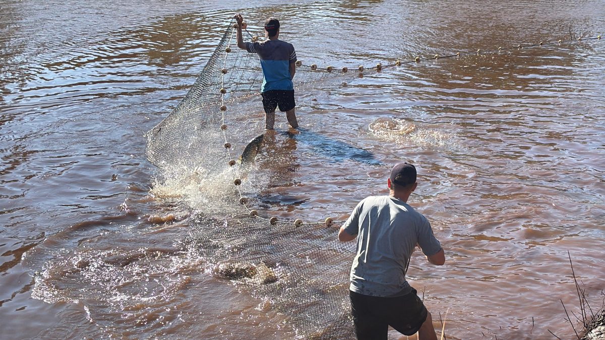 despesque en campo viera 2 - 1