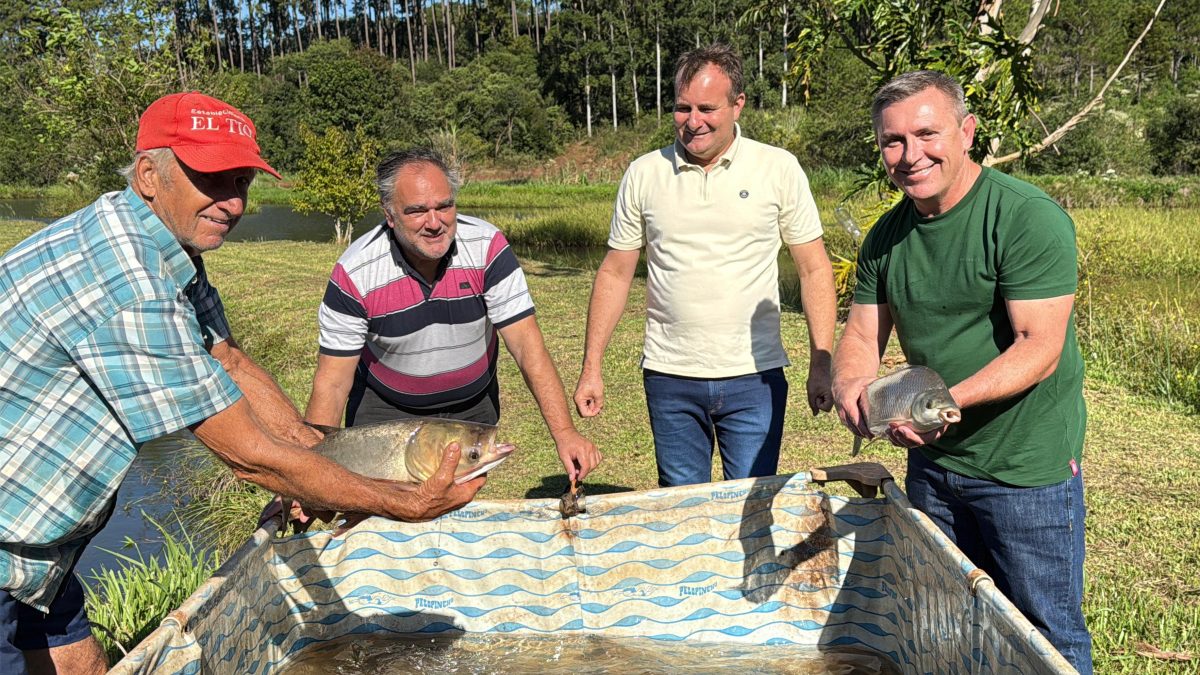 despesque en campo viera 4 - 7