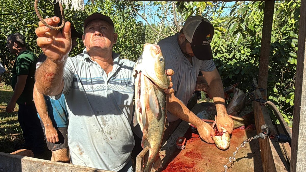 despesque en campo viera 5 - 9