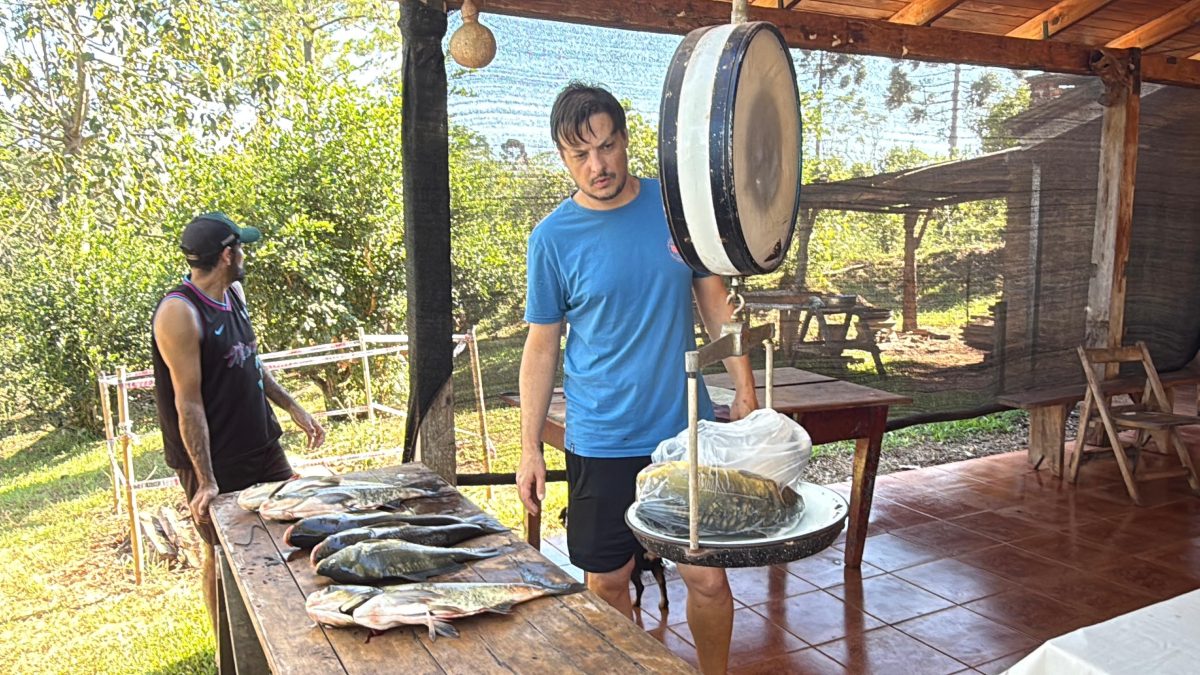 despesque en campo viera 6 - 11