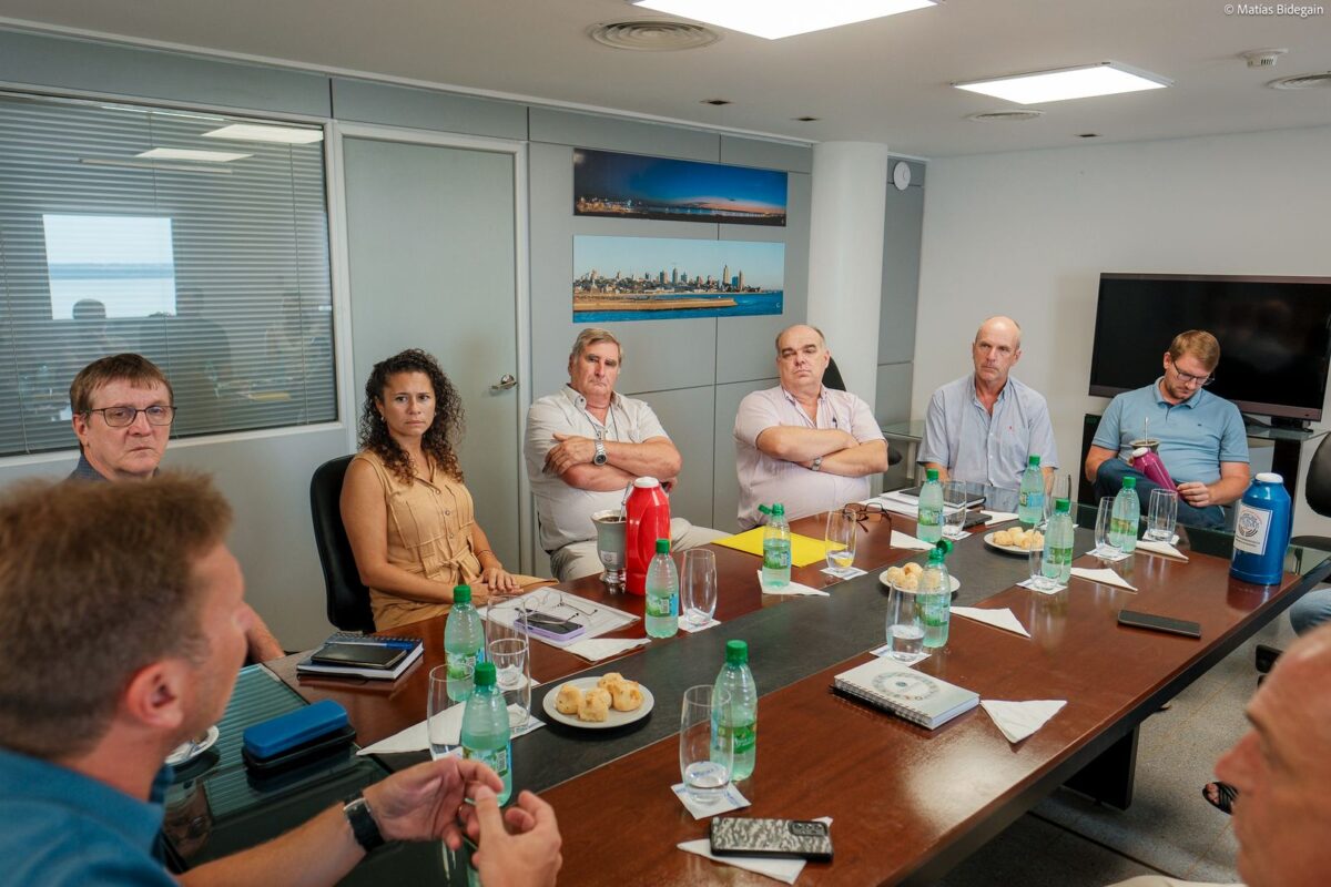 diputados renovadores-inym (1)