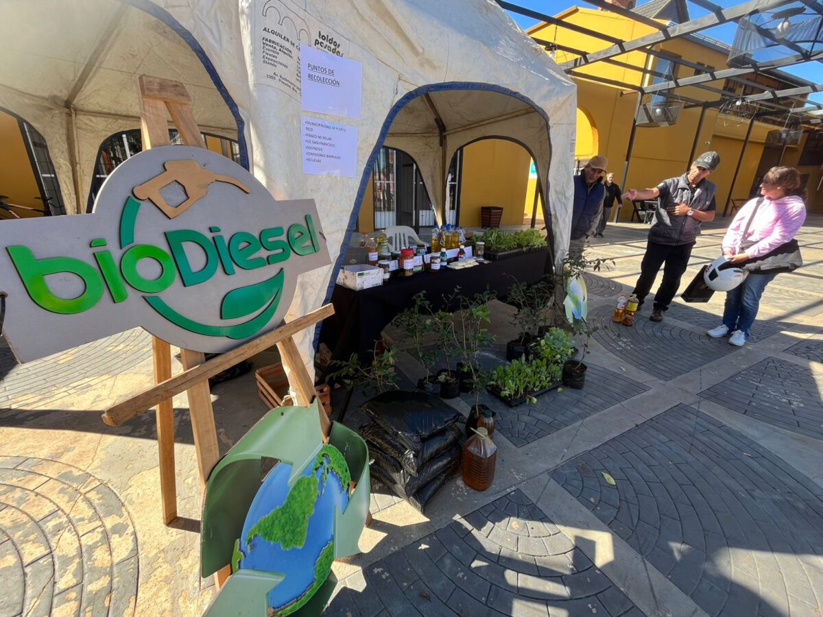 donacion aceite 5 - 5