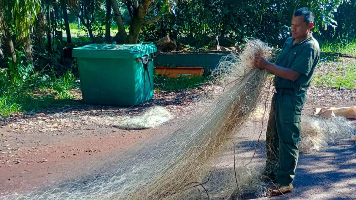 ilegal secuestro 4 - 3