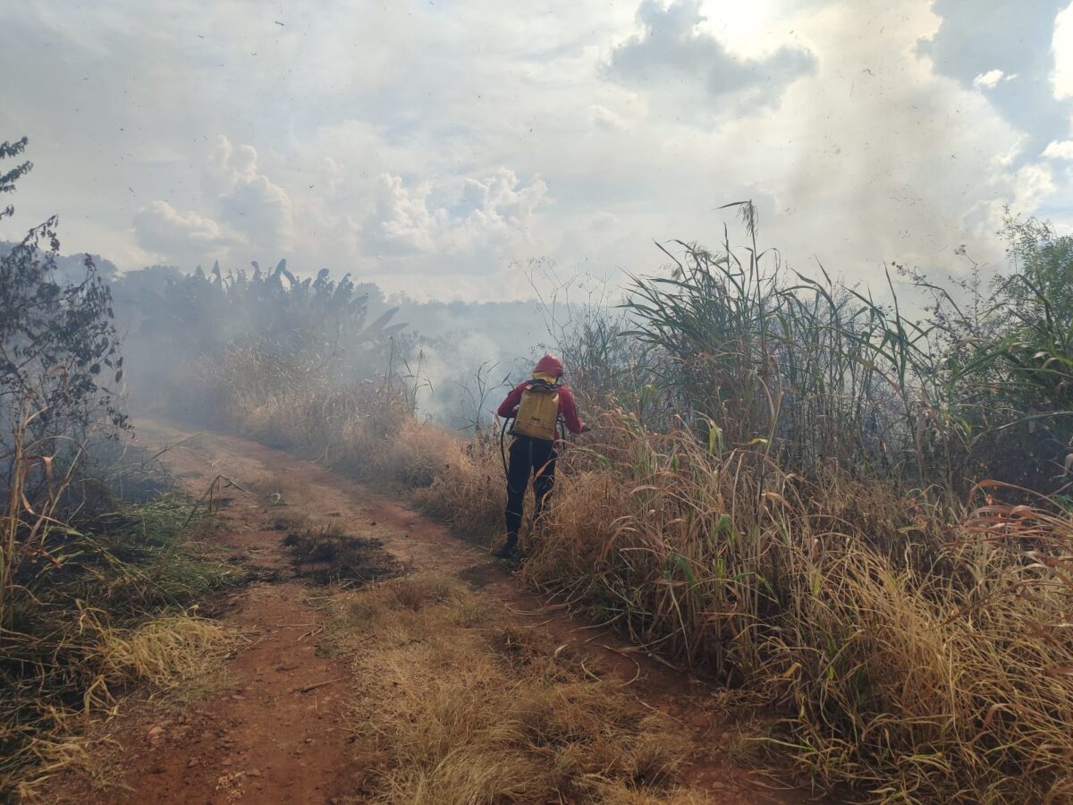 incendio malezas 1 - 3
