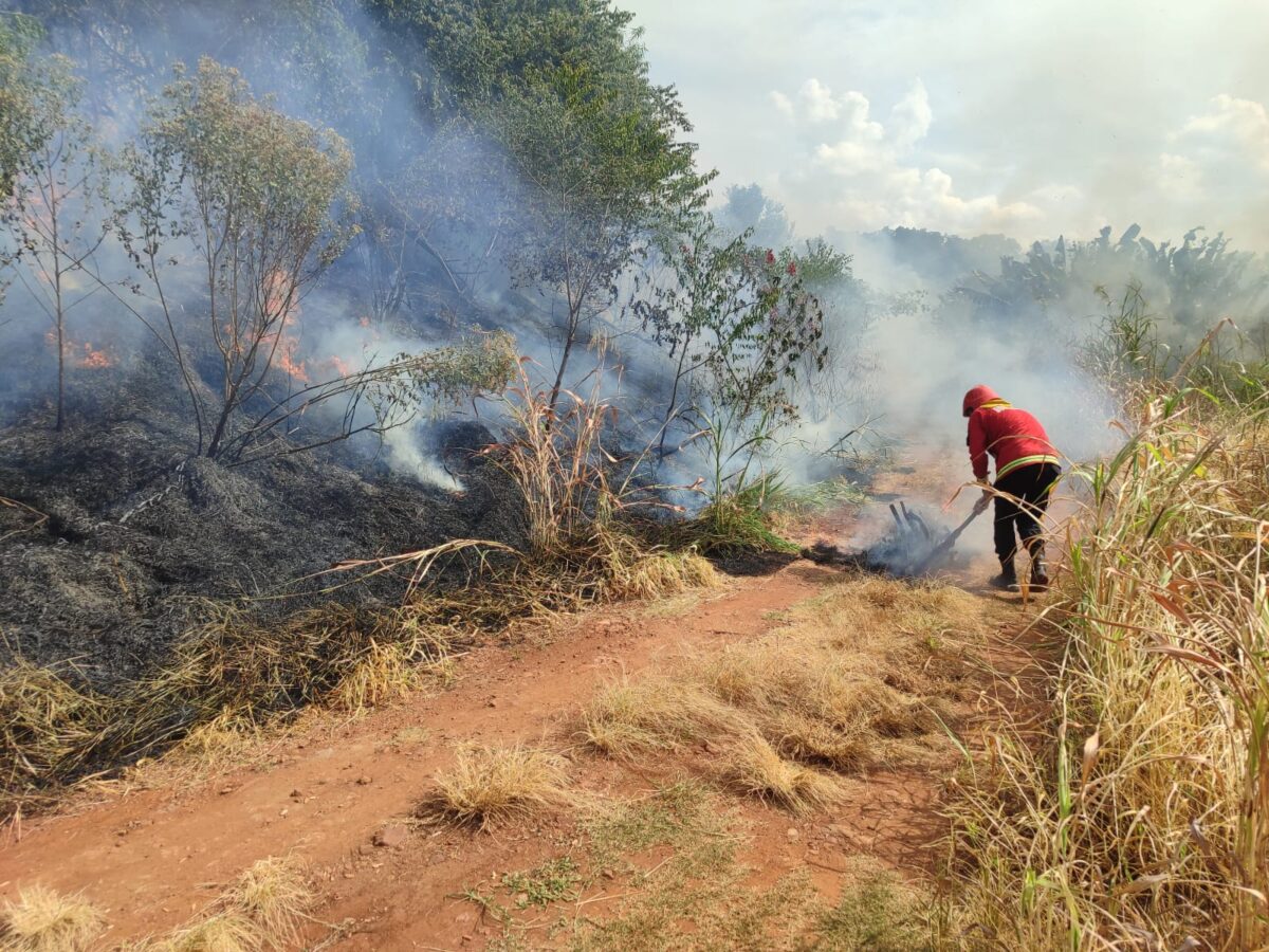incendio malezas 3 - 1