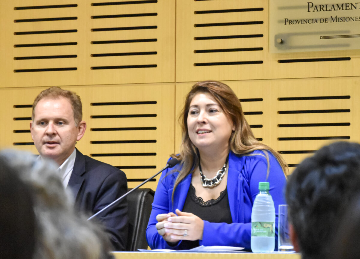 legislatura agrimensura 1 - 3