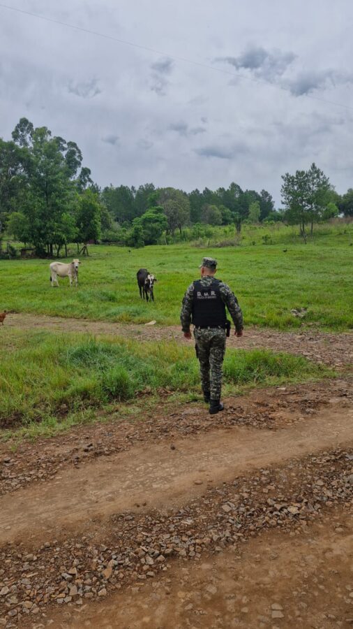 megaoperativo en misiones 12 - 23