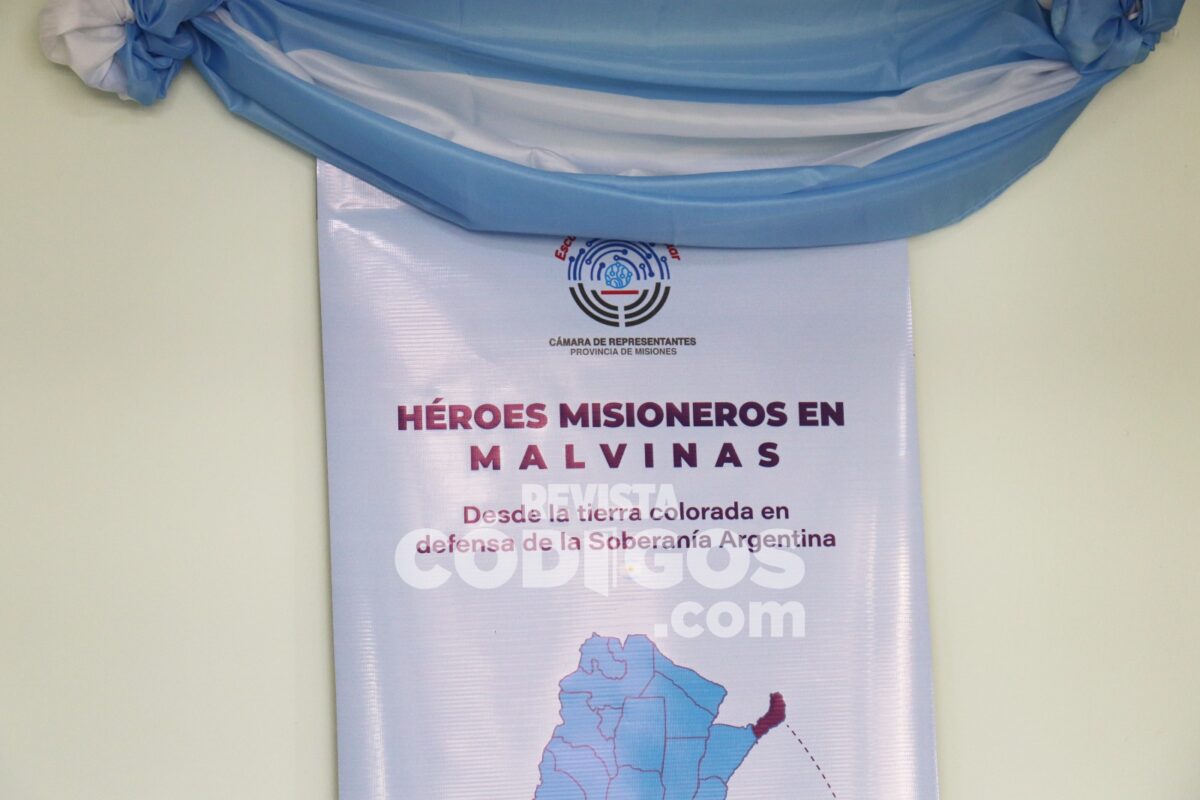 muestra malvinas 17 - 39