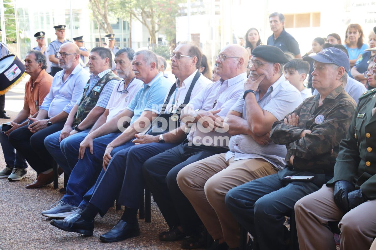 muestra malvinas 8 - 17