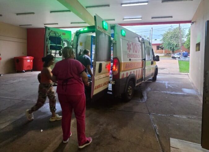 niño atacado por perros-posadas