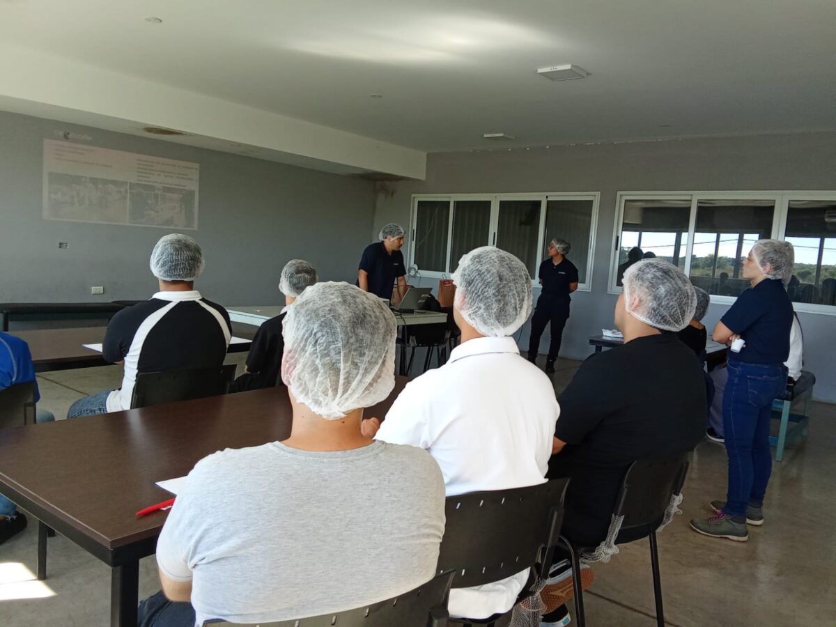 oficina de empleo 4 - 3