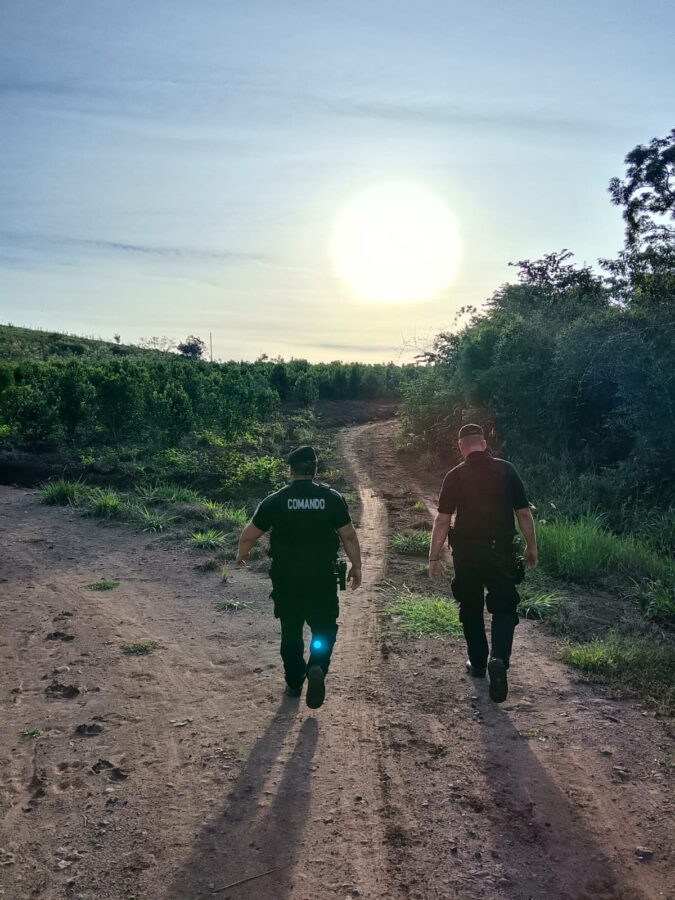 operativo misiones 3 1 - 5