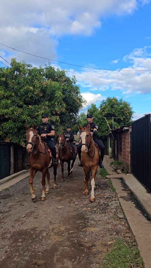 operativo misiones 7 - 13