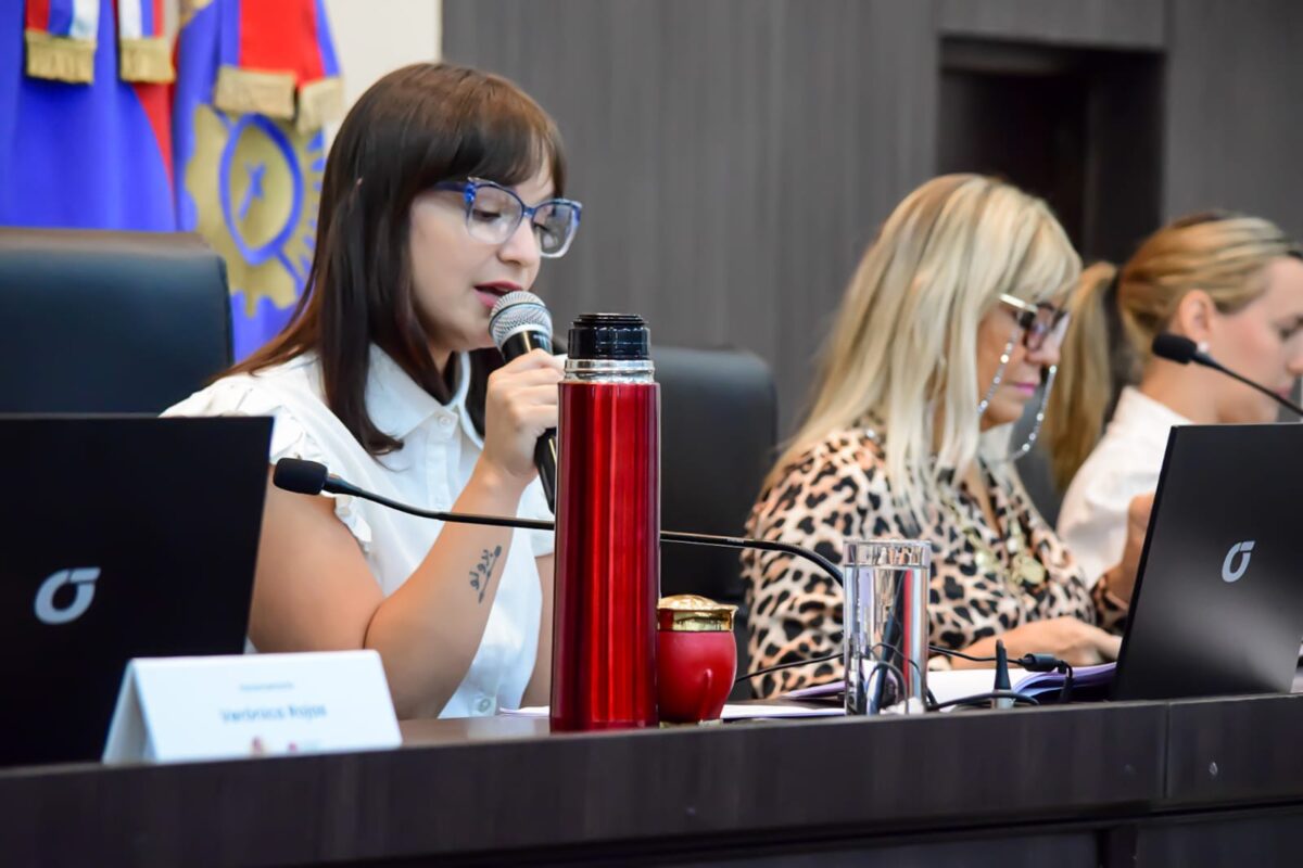 parlamento mujer posadas 3 - 1