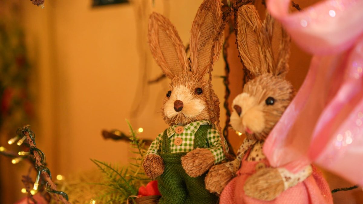 Capioví, epicentro de Pascua: Passalacqua resaltó el modelo comunitario 3 6 - passalacqua en capiovi 3 - 5