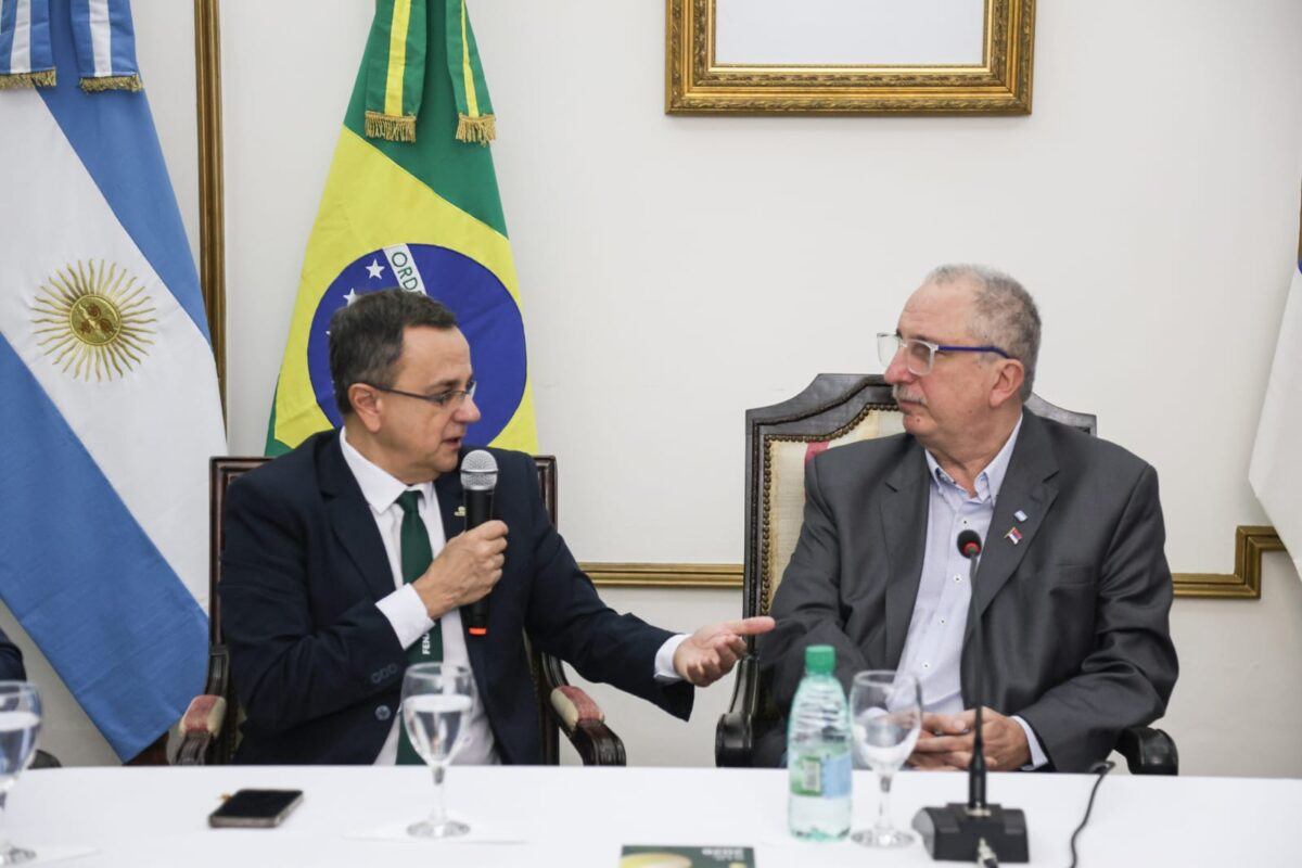 presentacion fenasoja 4 - 11