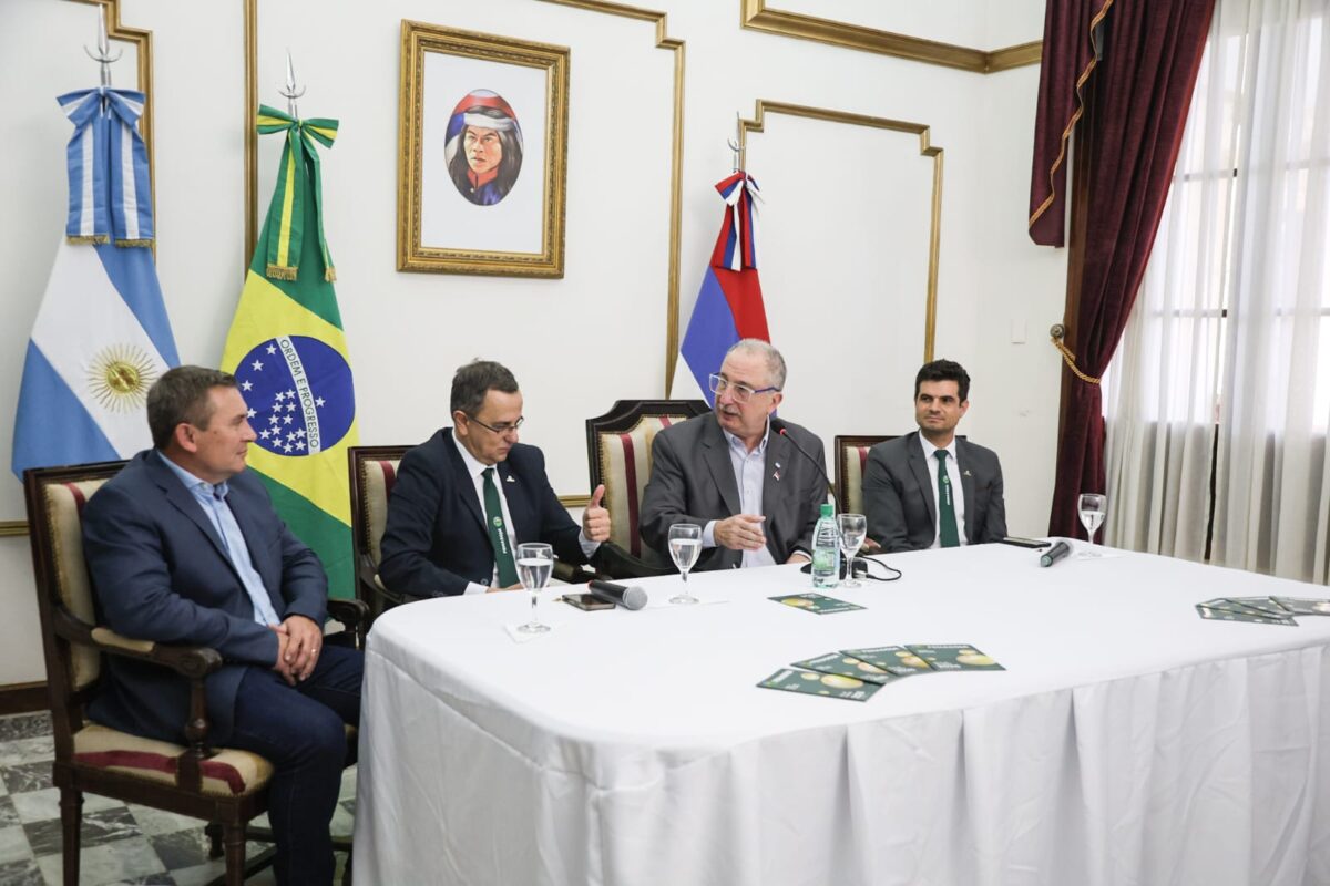 presentacion fenasoja 5 - 13