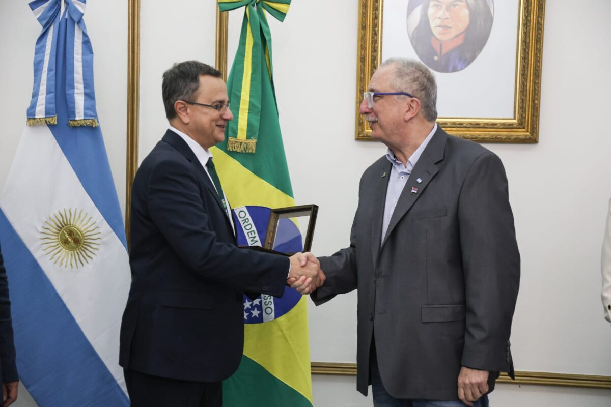 presentacion fenasoja 8 - 15