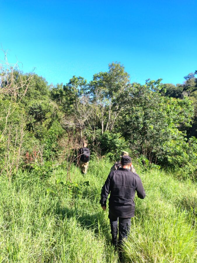 Desmantelan trampas ilegales para pesca en arroyos de Ruiz de Montoya 3 6 - trampas 3 - 5