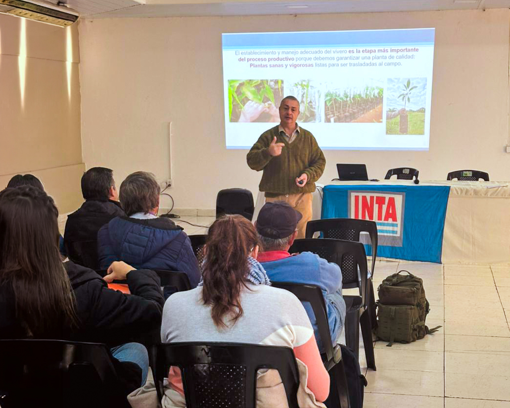 Capacitacion palta misiones 1 - 3