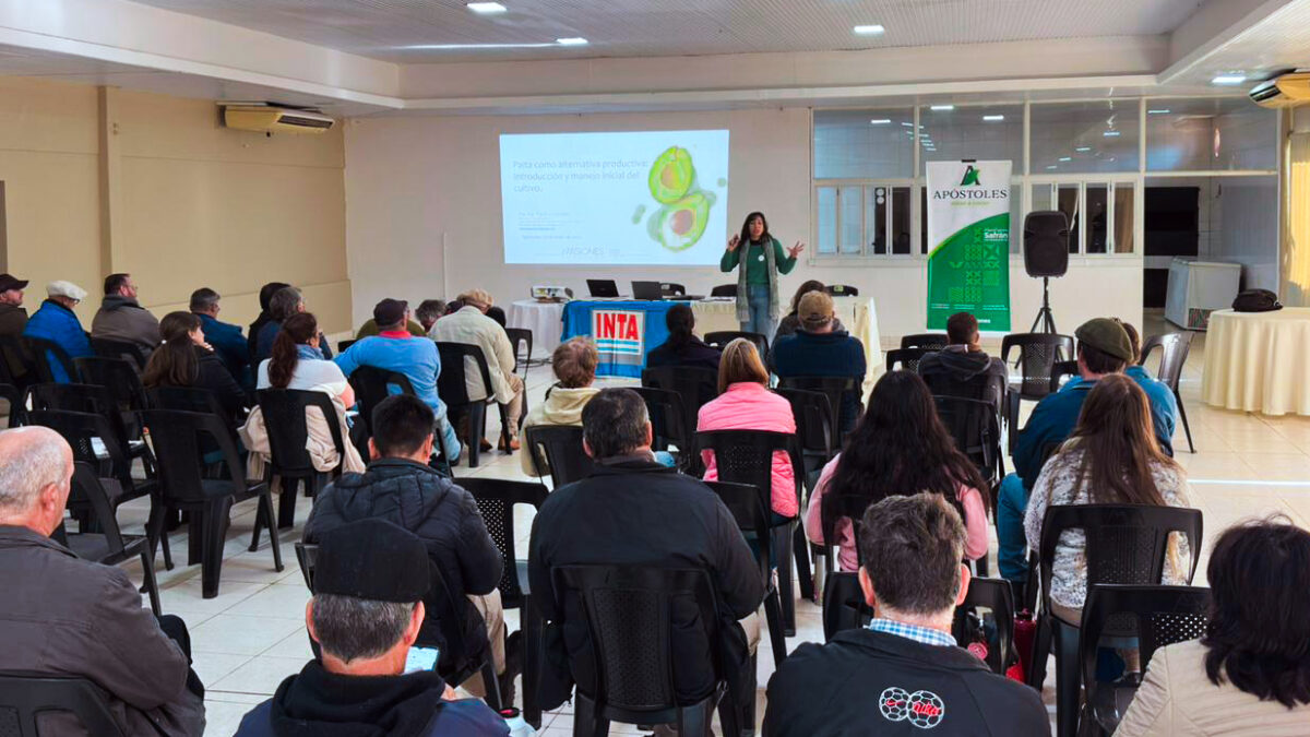 Capacitacion palta misiones 3 - 1