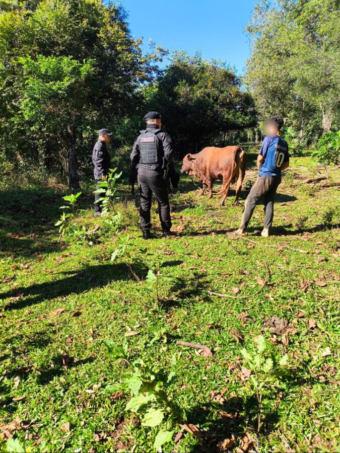 Corredor preventivo en Misiones: refuerzan controles en áreas rurales y fronterizas 4 8 - Corredor preventivo en Misiones refuerzan controles en areas rurales y fronterizas 8 - 7