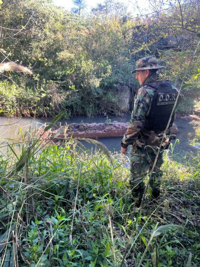 Desactivaron cuatro estructuras clandestinas usadas para matar fauna silvestre en Corpus Christi 3 - 3