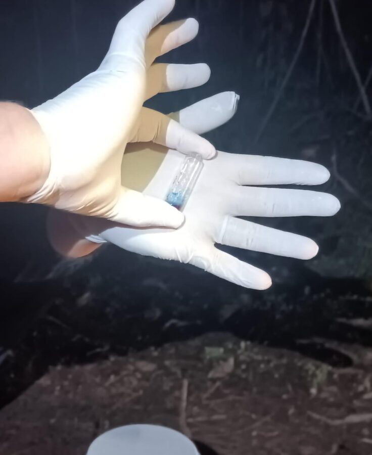 La Policia de Misiones incauto cocaina por 25 millones tras una persecucion en Iguazu 1 - 3